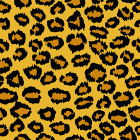 Leopard 2