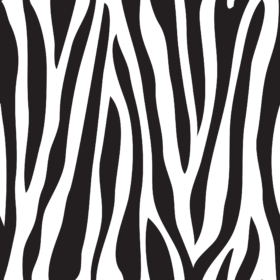 Zebra 2