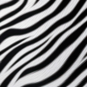 zebra-realistisch (1) (1)