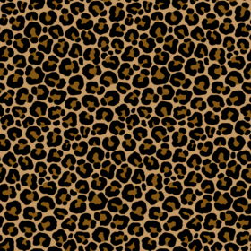 leopard leo -5 (1)