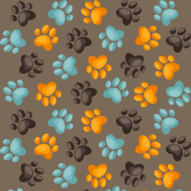 pfoten beige hintergrund (1)