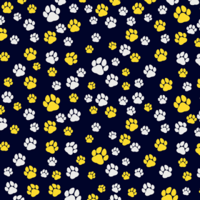 pfoten weiss gelb1 (1)