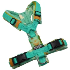 BUMER Hundegeschirr, gepolstert ohne geteilten Bruststeg, Größe XXS, Gurtband PREMIUM X Minze, Softshell Mint Floral, Ringe silberfarbig (Edelstahl), Applikation