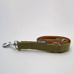 BUMER Hundeleine, gepolstert, Länge 100cm Softshell-Farbe Caffee Latte, Gurtband-Breite 25 mm Gurtband-Farbe Moos, Karabiner, Ringe silberfarbig
