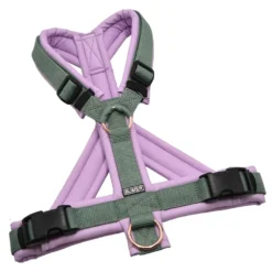 BUMER1000 Hundegeschirr, gepolstert mit geteilten Bruststeg, Größe M, Gurtband Salbei, Softshell Fliedertraum, Ringe rosegoldfarbig